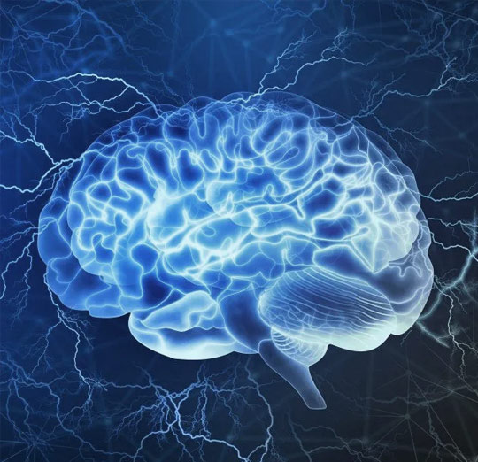 sociedade-de-neurocirurgia
